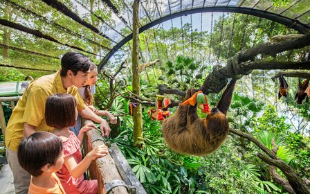 Singapore Zoo