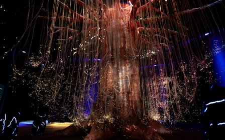 Enchanted Forest