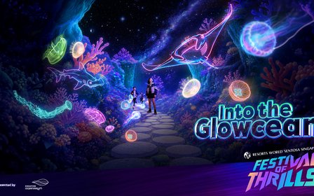 Into the Glowcean