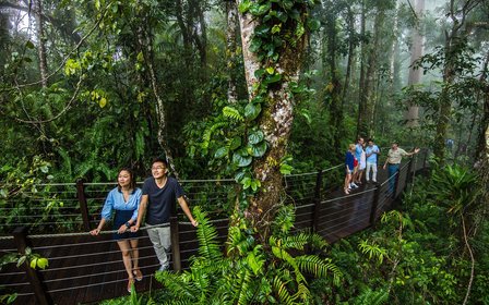 Barron Gorge & Falls lookouts