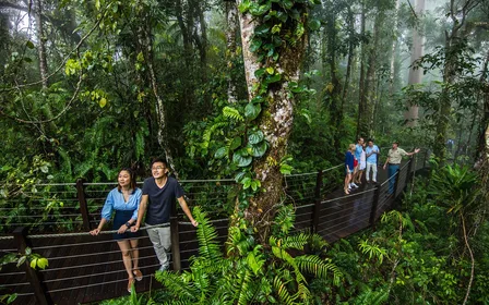 Barron Gorge & Falls lookouts