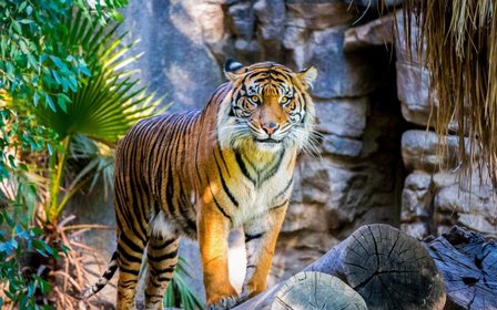 Home to over 4,000 animals