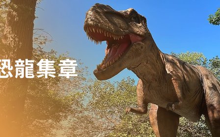 化身恐龍考古學家,收集專屬探索護照章