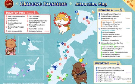Build Your Own Okinawa Pass