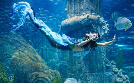 Mermaid Show