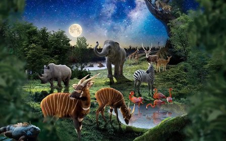 夜間野生動物園探索之旅