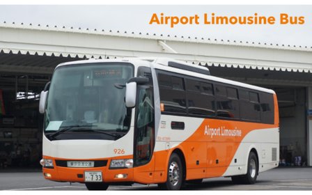 Narita Airport To Tokyo, Downtown Limousine Bus One Way