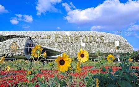 World’s largest natural flower garden