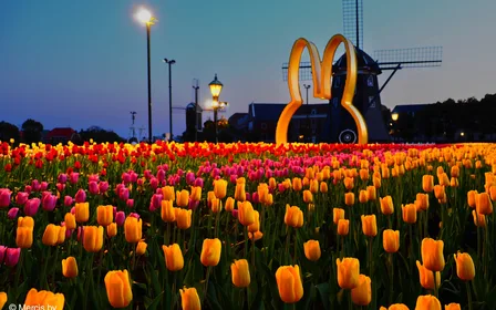 Explore Asia's largest resort theme park