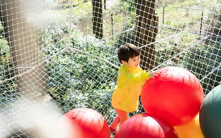 ABURAYAMA FUKUOKA Forest Adventure & Safety Net Adventure Course