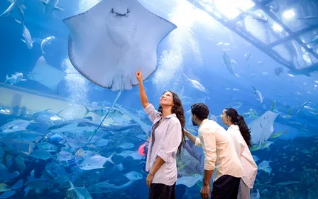 One of the largest suspended aquariums