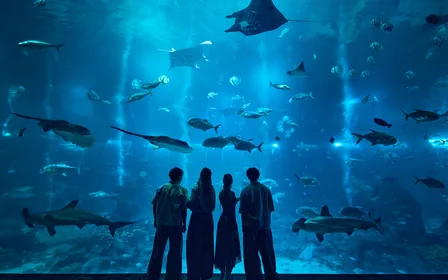 Open ocean habitat