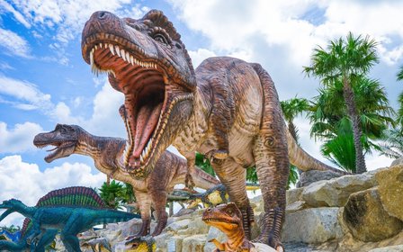 Discover the themed zones — Lose track of time among orchids, fountains, topiary, waterfalls, cacti, ferns and bonsai