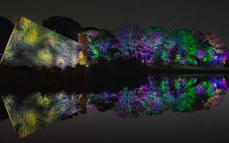 Découvrez la magie d'un musée de nuit interactif
