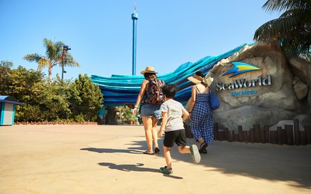 Family thrills all day