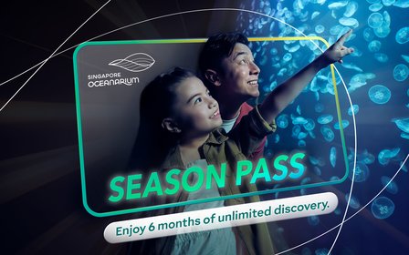 Enjoy 6 months of unlimited discovery with Season Pass