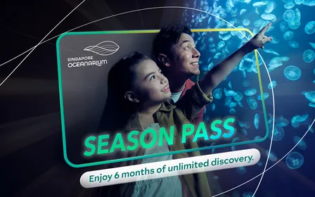 Enjoy 6 months of unlimited discovery with Season Pass