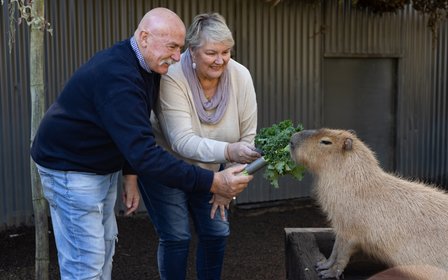 Wildlife Encounters