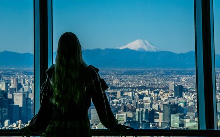 Panoramic city views