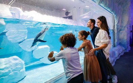 Penguin Cove & Underwater Zoo