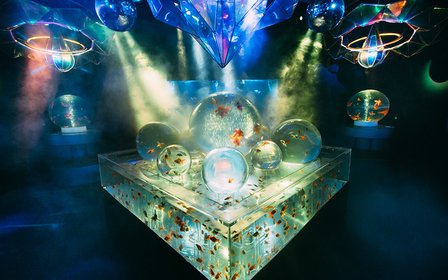 2,000 goldfish × 3-meter giant fish tank