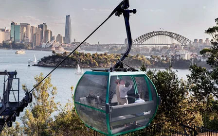 Sky Safari cable car with harbour views