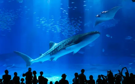 沖繩美麗海水族館門票