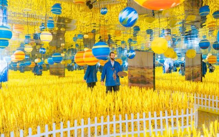 Wheat Field Universe