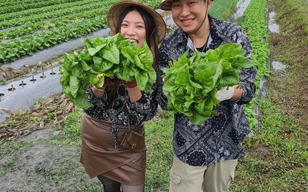 彎腰走進菜園,把最新鮮的蔬菜捧回家