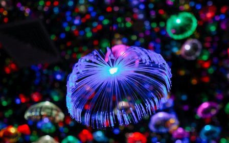 Jellyfish Pavilion