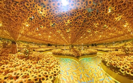 Sunflower Sea