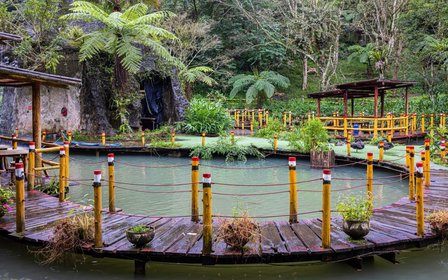 走進水生植物教學池,近距離觀察濕地生態