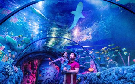 探索SEA LIFE的奇妙世界