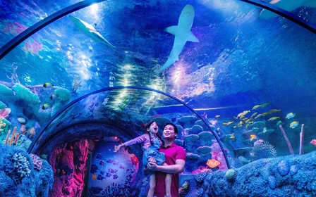 Discover the Wonders of SEA LIFE