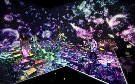 Immerse yourself in a body-interactive art experience