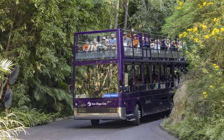 Skyfari Aerial Tram