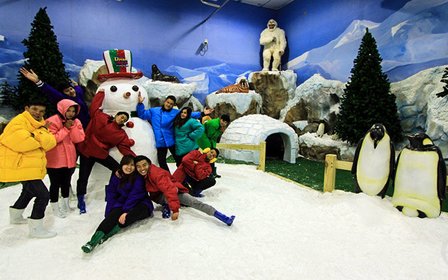 Snow Town in the tropics — Frolic in real snow right in the middle of the park, a magical surprise for kids and kids at heart