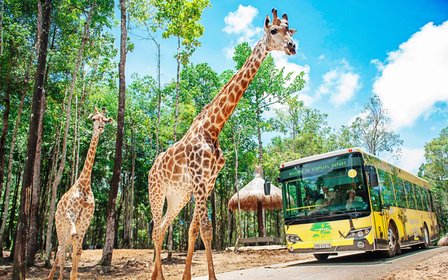 探索半野生動物園