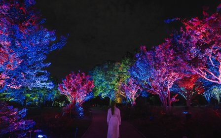 Entrez dans un sanctuaire vivant d'art et de nature