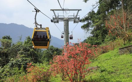 从玻璃缆车车厢内,您将能饱览三岛山谷的广阔景色,以及上方云雾缭绕的山峰。