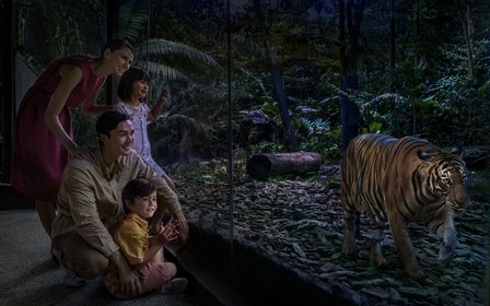 新加坡夜間野生動物園