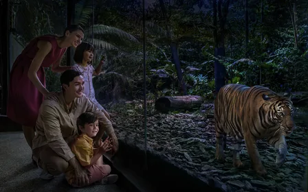 Night Safari Singapore