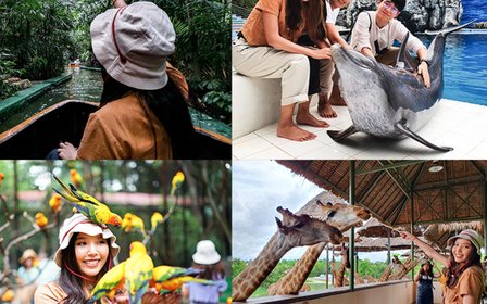 Two parks in one day — Explore Safari World Bangkok's open-zoo Safari Park and its Marine Park in a single visit.