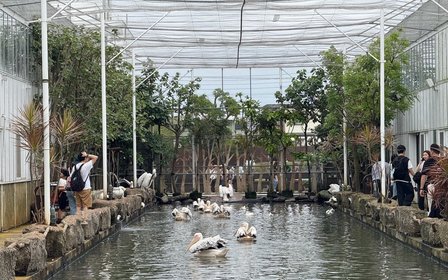 超過3,000坪全天候室內外溫室空間
