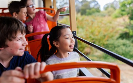 Safari Bus Tour