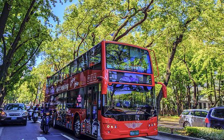 微風與陽光,帶你先一步穿越台北林蔭大道
