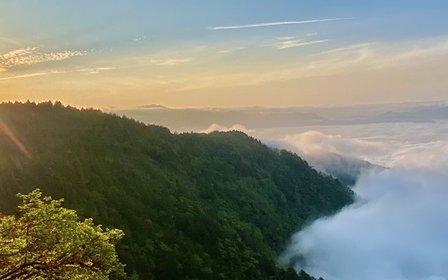 站上稜線看夕陽,雲海在腳下翻湧