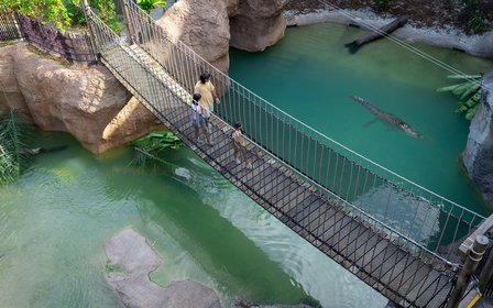 1 Park, 2 Zones and 9 Adventure+ activities