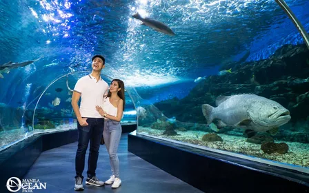 Philippines’ largest oceanarium