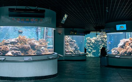 珊瑚王國館